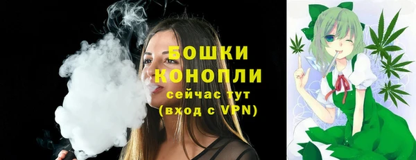 спайс Мегион