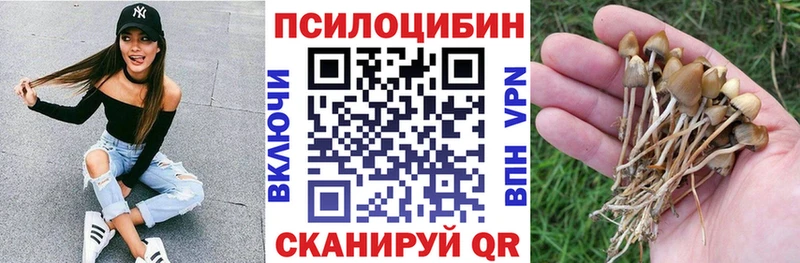 кракен tor  Черняховск  Псилоцибиновые грибы прущие грибы  наркота 