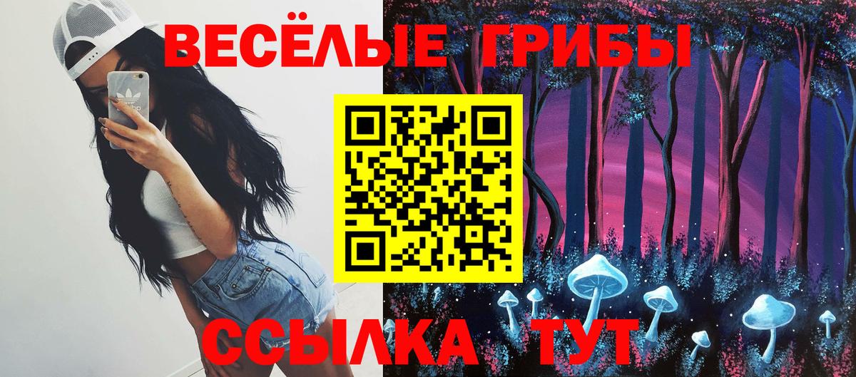 Галлюциногенные грибы Psilocybine cubensis  Псилоцибиновые грибы ЛСД  Вход с VPN  Черняховск 