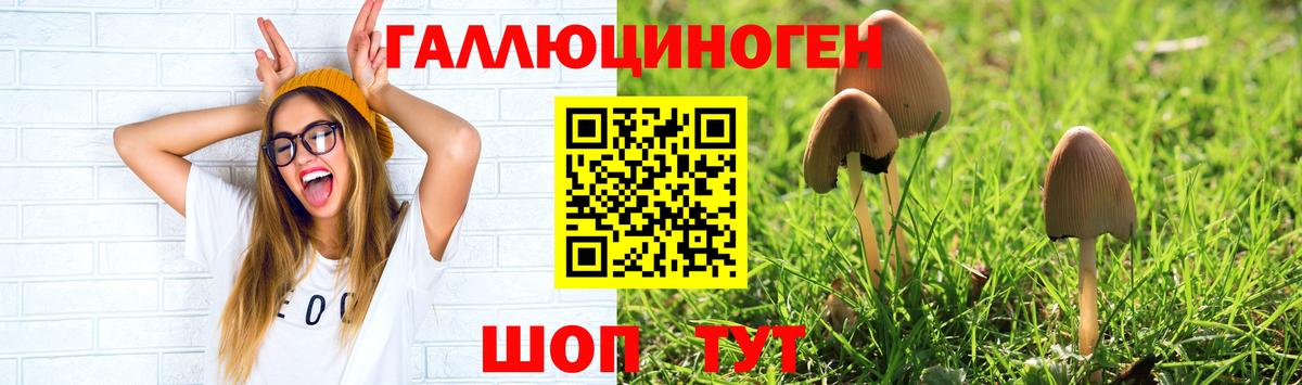 Псилоцибиновые грибы прущие грибы Черняховск