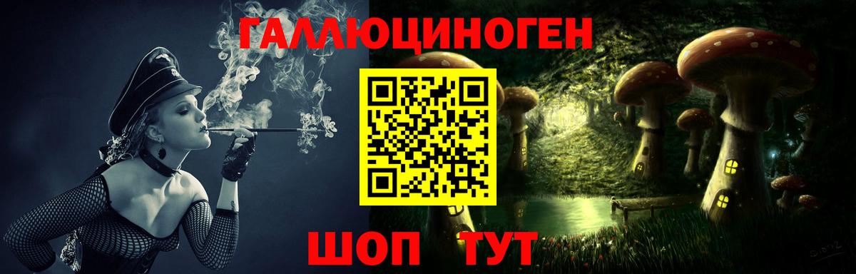 Конопля Черняховск