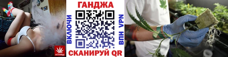 наркотики  Черняховск  Бошки марихуана конопля 